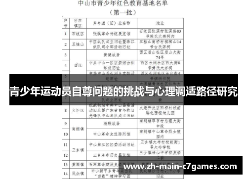 青少年运动员自尊问题的挑战与心理调适路径研究 青少年运动员自尊问题的挑战与心理调适路径研究